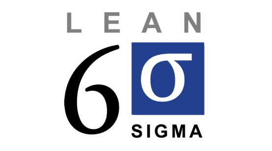 Diploma Lean Six Sigma – Visionary Mindset Professional & Management ...